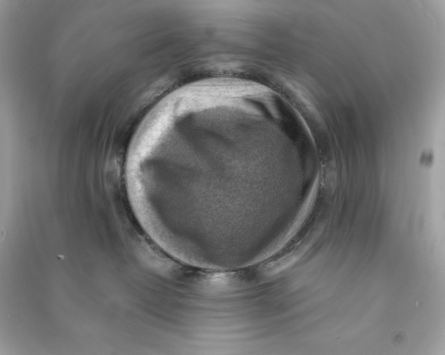 X0000090780382200708101838