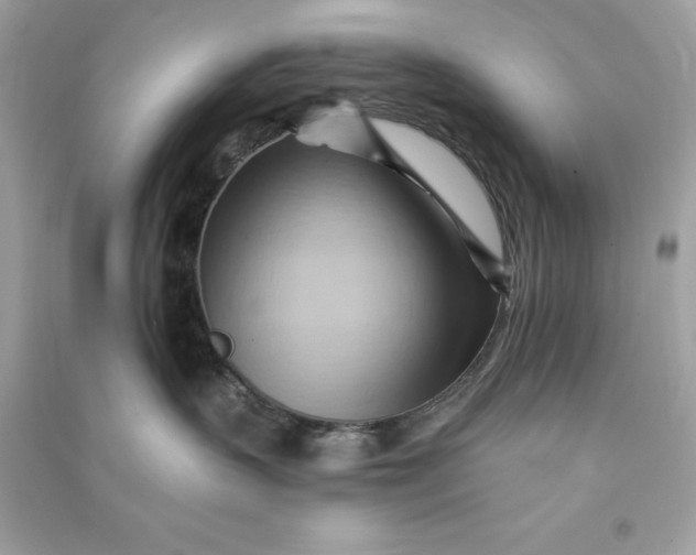 X0000090780383200708101838