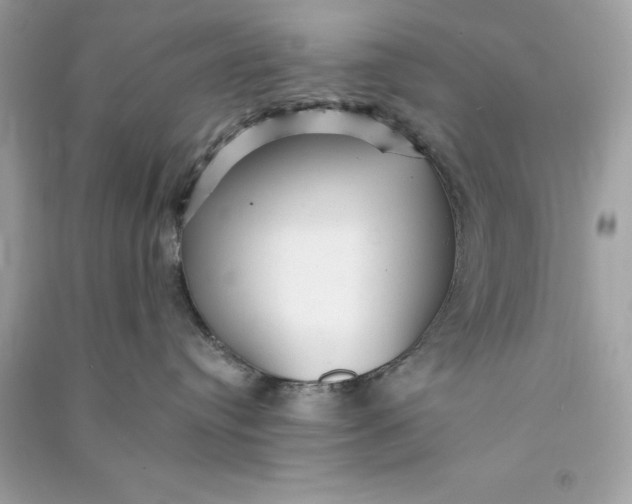 X0000090780384200708101838