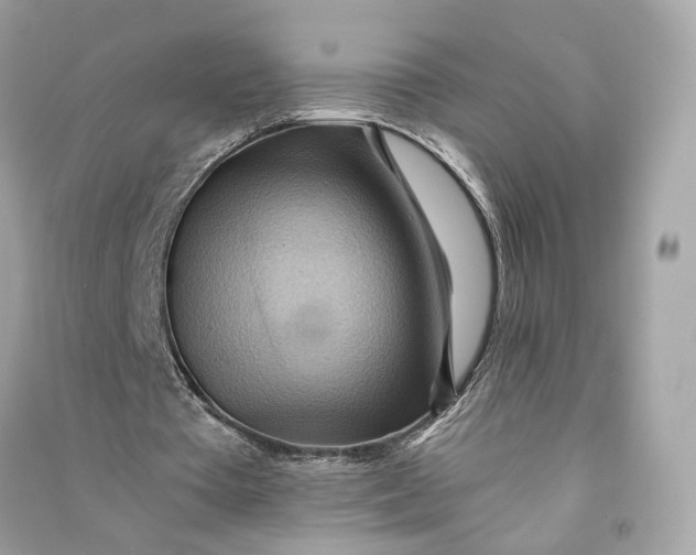 X0000090780385200708101838
