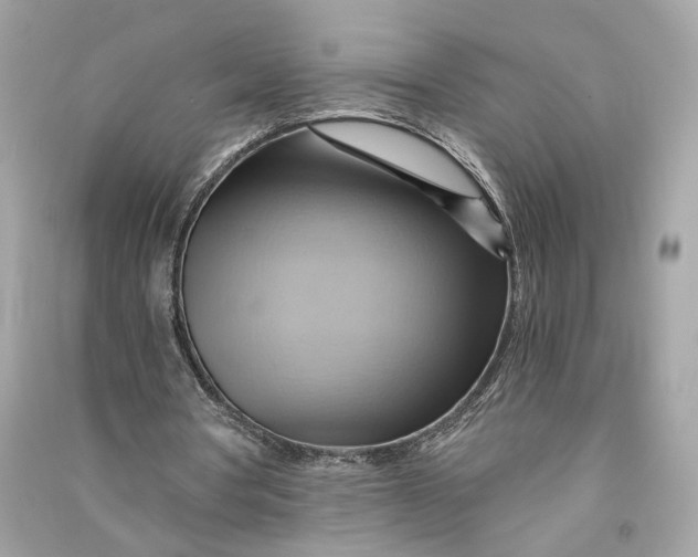 X0000090780386200708101838
