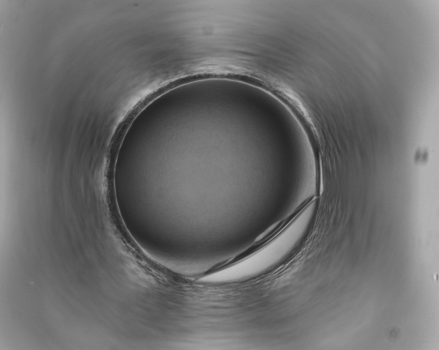 X0000090780387200708101838