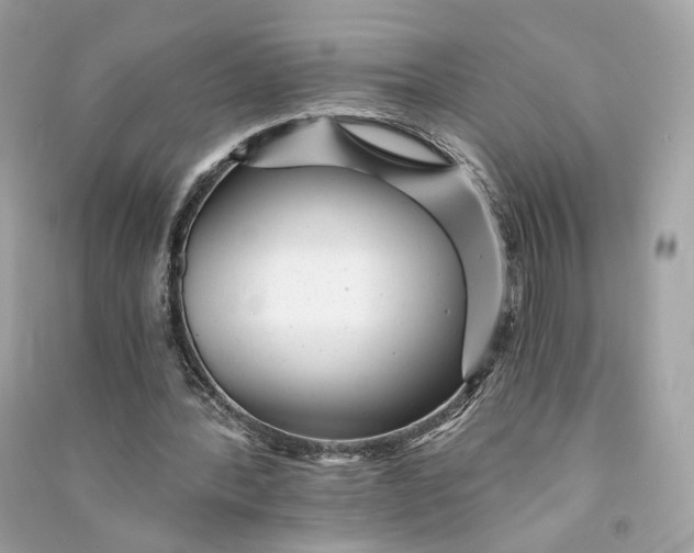 X0000090780388200708101838