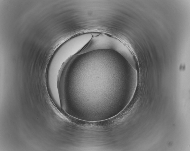 X0000090780389200708101838