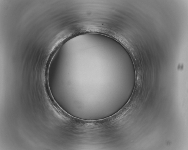 X0000090780390200708101838