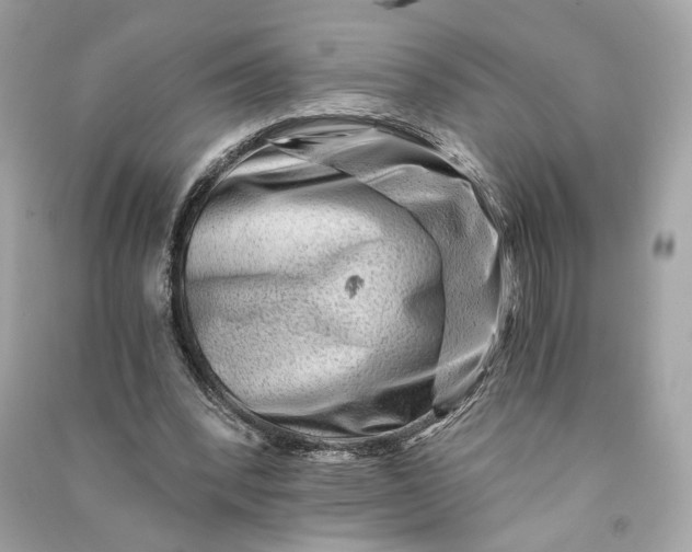 X0000090780392200708101838