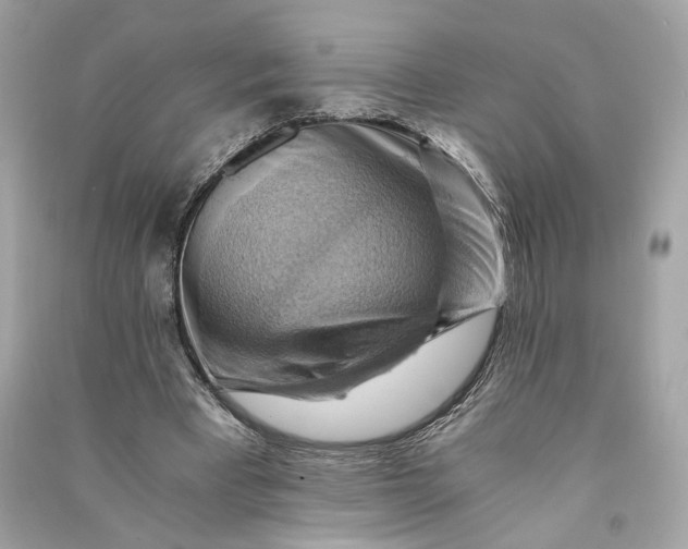 X0000090780393200708101838