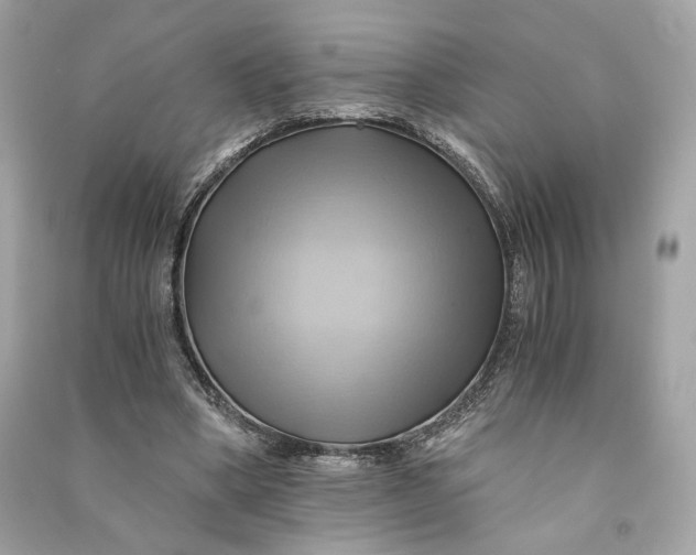 X0000090780394200708101837