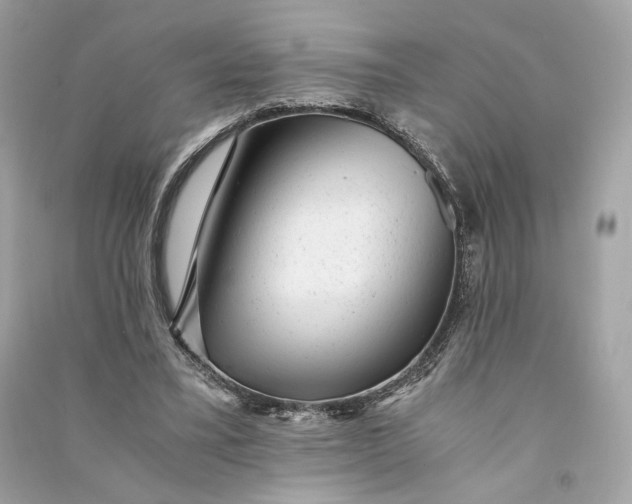 X0000090780395200708101837