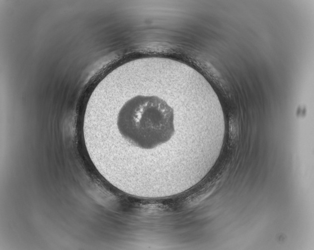 X0000090780396200708101837