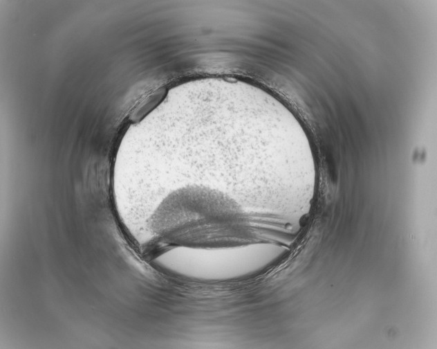 X0000090780397200708101837