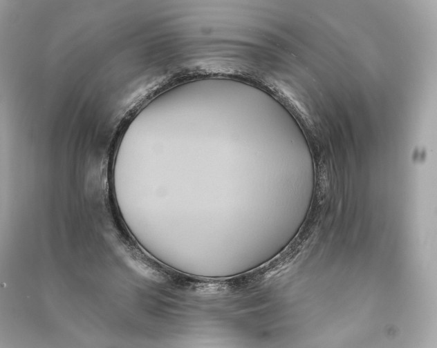 X0000090780398200708101837