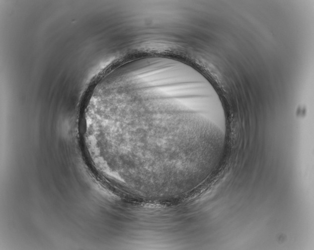 X0000090780399200708101837