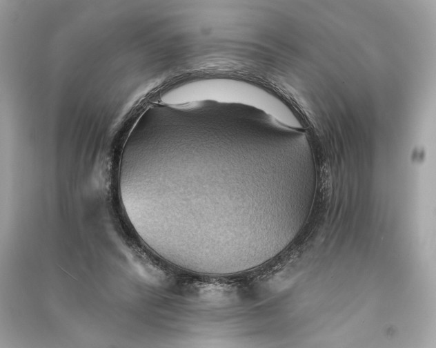 X0000090780400200708101837