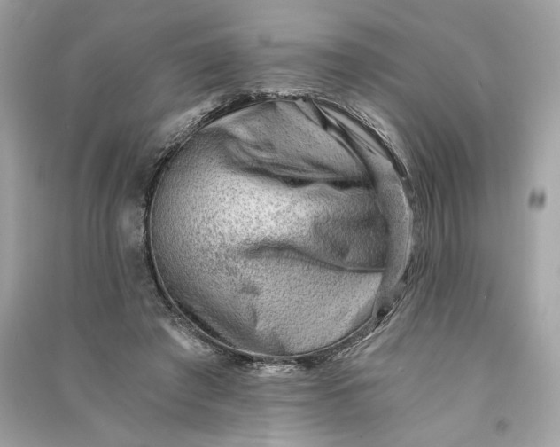 X0000090780401200708101837