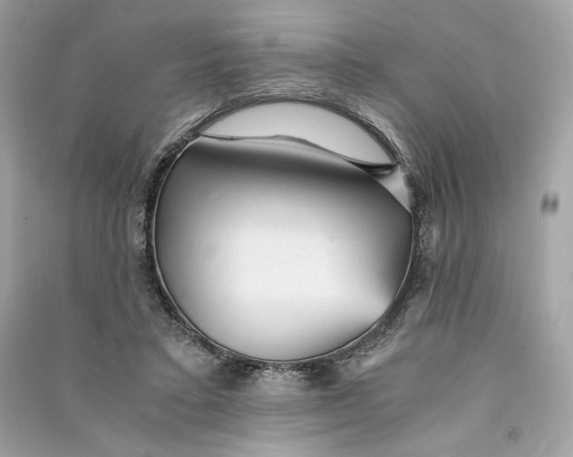X0000090780403200708101837
