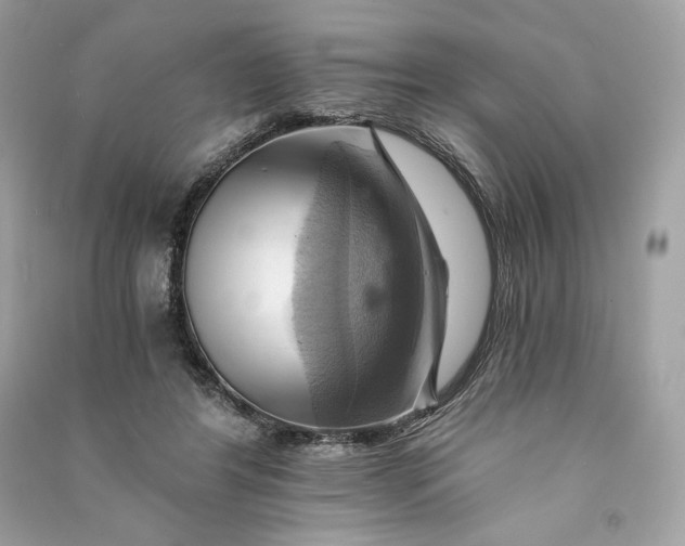 X0000090780404200708101837
