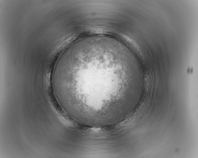 X0000090780406200708101837