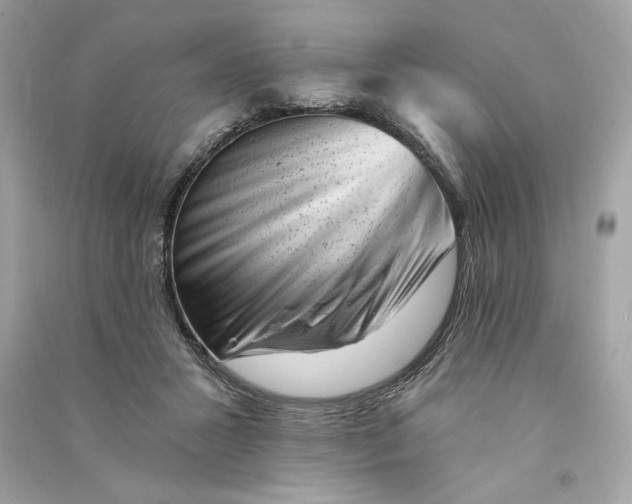 X0000090780407200708101837