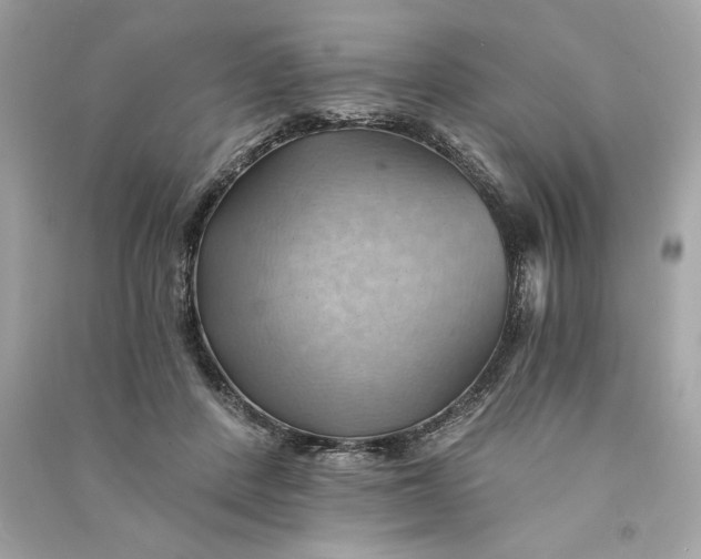 X0000090780408200708101837