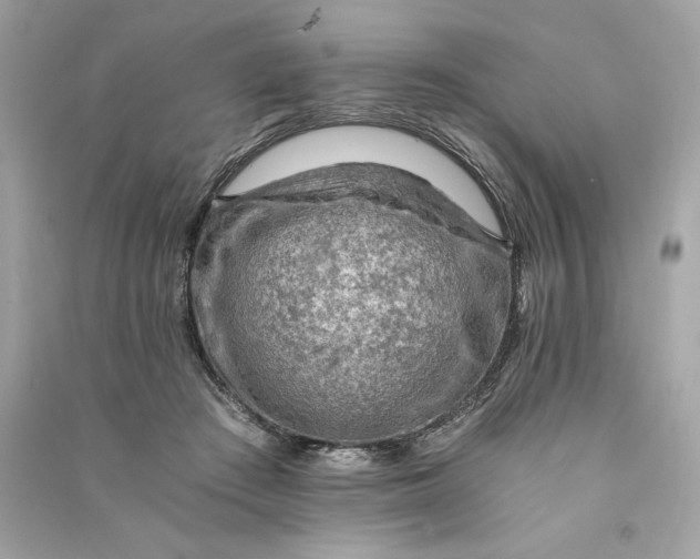 X0000090780409200708101837