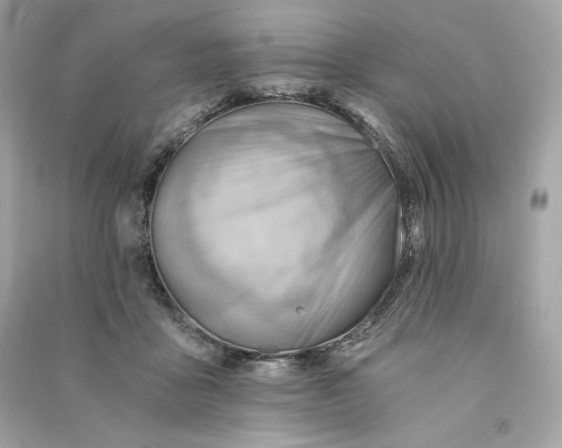 X0000090780411200708101837