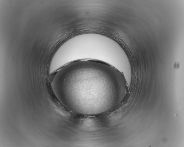 X0000090780412200708101837