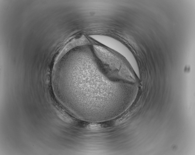 X0000090780413200708101837
