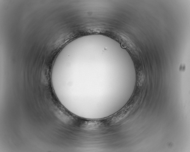 X0000090780414200708101837