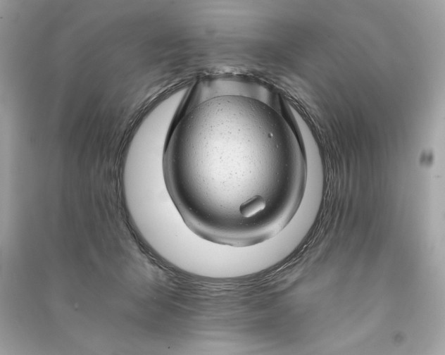 X0000090780415200708101837