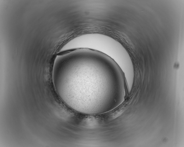 X0000090780416200708101837