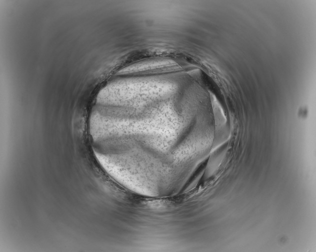 X0000090780417200708101837