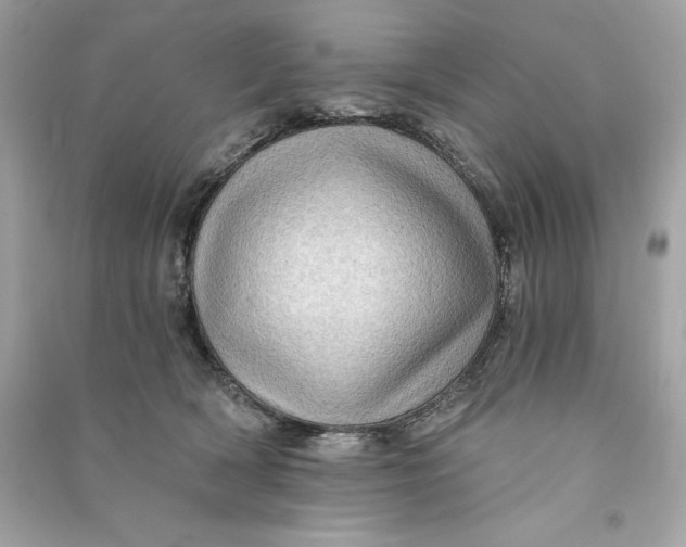 X0000090780418200708101837