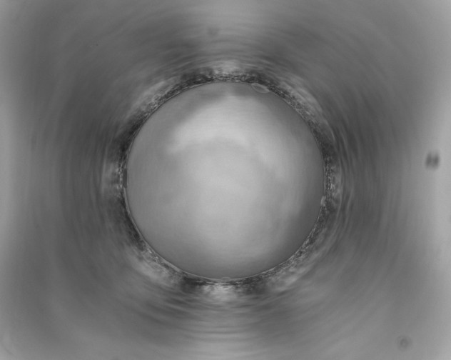 X0000090780419200708101837