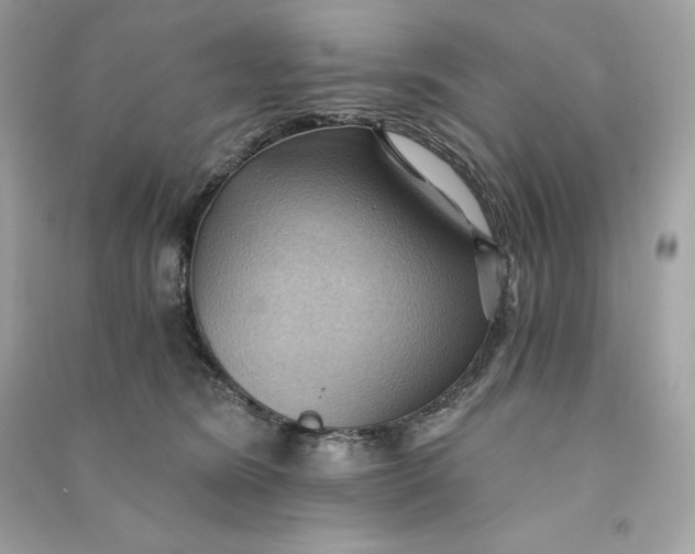 X0000090780420200708101837