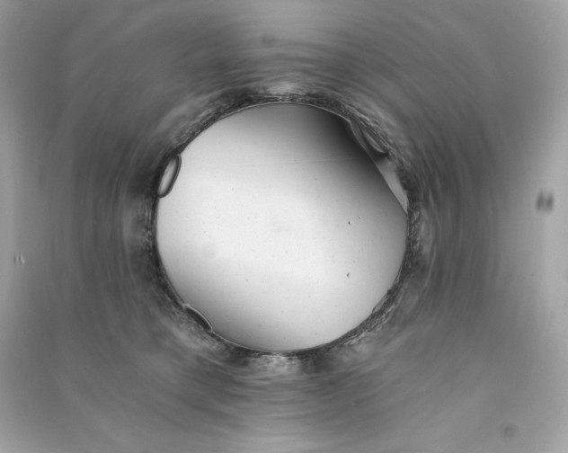 X0000090780421200708101837