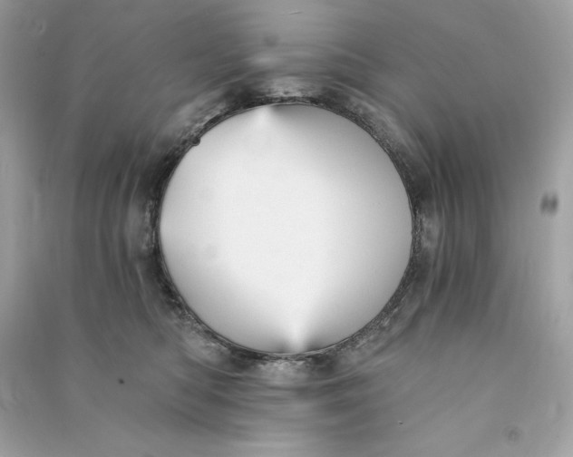 X0000090780422200708101837