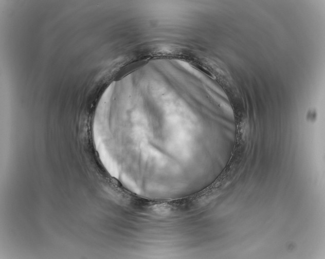 X0000090780423200708101837