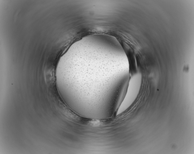 X0000090780425200708101837