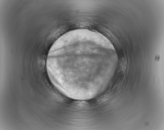 X0000090780427200708101837