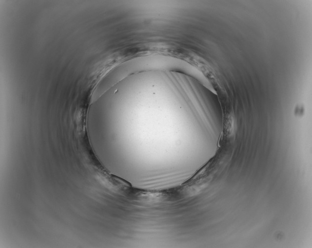 X0000090780428200708101837