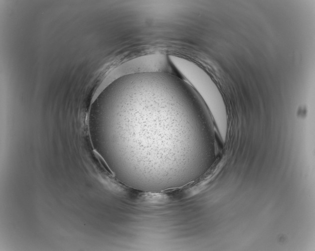 X0000090780429200708101837