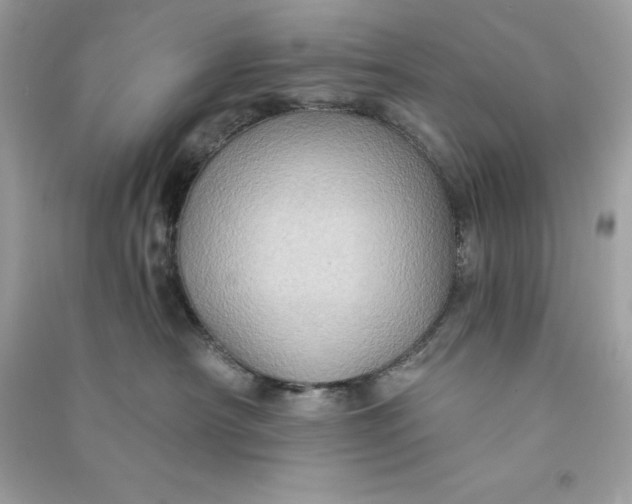 X0000090780430200708101837