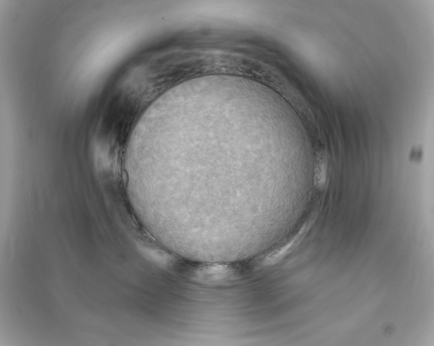 X0000090780431200708101837