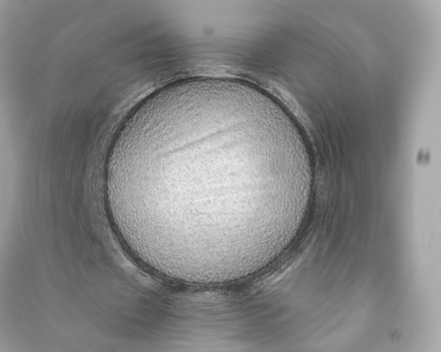 X0000090780433200708101836