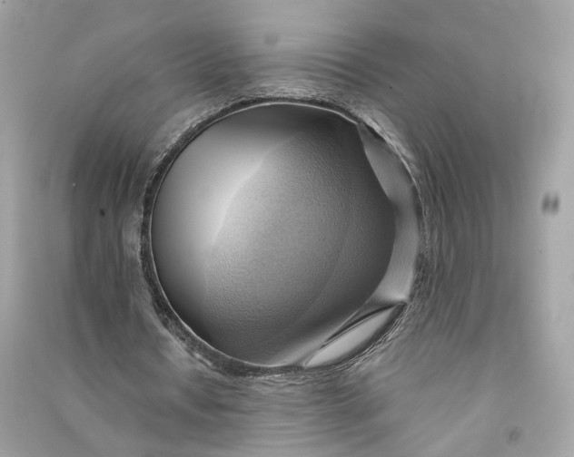 X0000090780434200708101836