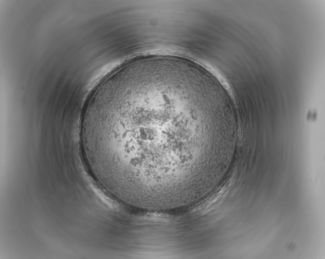 X0000090780437200708101836