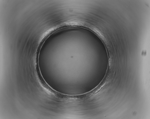 X0000090780438200708101836