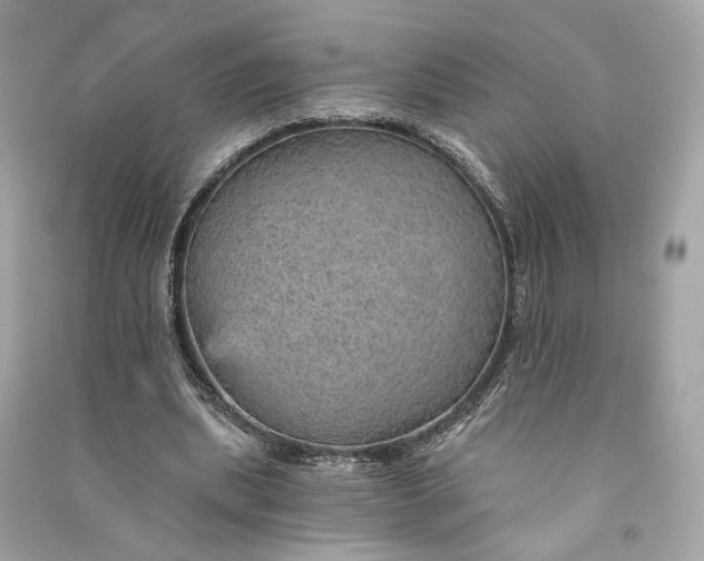 X0000090780439200708101836