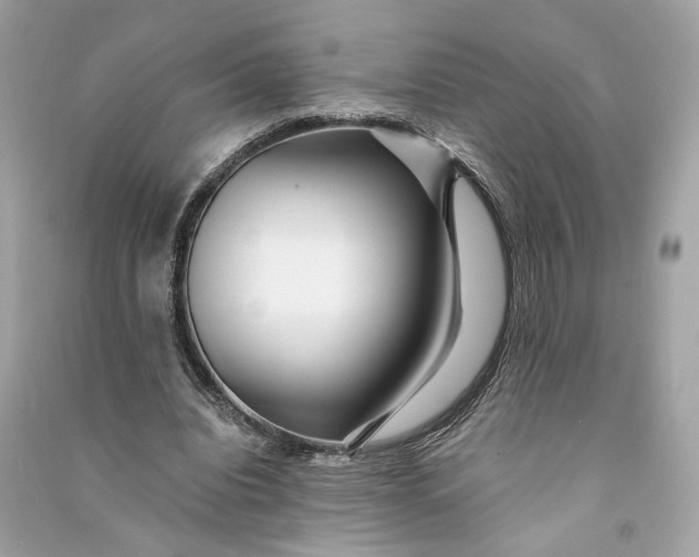 X0000090780440200708101836